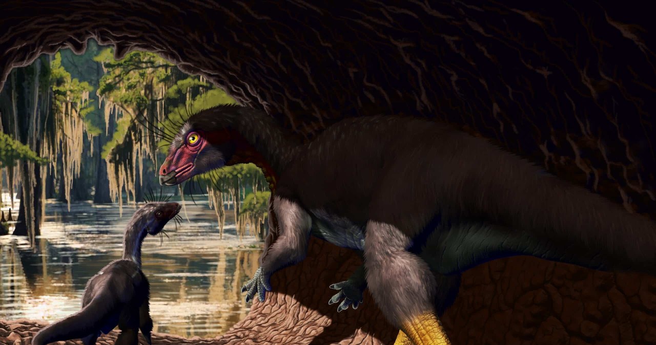 Los dinosaurios alguna vez gobernaron la Tierra.  Como… el tamaño de los perros.