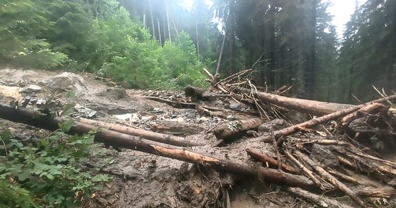 Nie żyje trzecia ofiara lawiny błotnej w Mąkowej Dolinie w słowackich Tatrach Bielskich - poinformowała słowacka telewizja JOJ. Nie ma jeszcze oficjalnego komunikatu, jakiej narodowości była ofiara. 