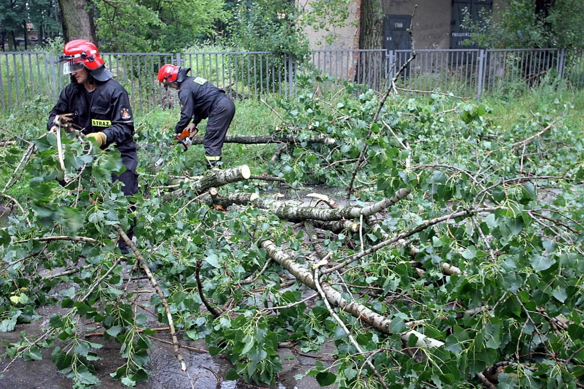 Połamane drzewa, zalane piwnice i ulice, uszkodzenia linii energetycznych i brak prądu - to skutki burz, które przeszły nad województwem świętokrzyskim. Strażacy odnotowali około 500 interwencji. 