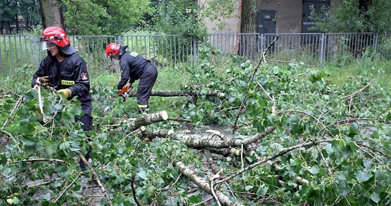 Połamane drzewa, zalane piwnice i ulice, uszkodzenia linii energetycznych i brak prądu - to skutki burz, które przeszły nad województwem świętokrzyskim. Strażacy odnotowali około 500 interwencji. 