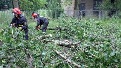 Skutki burz w Świętokrzyskiem: Połamane drzewa, zalane piwnice i brak prądu