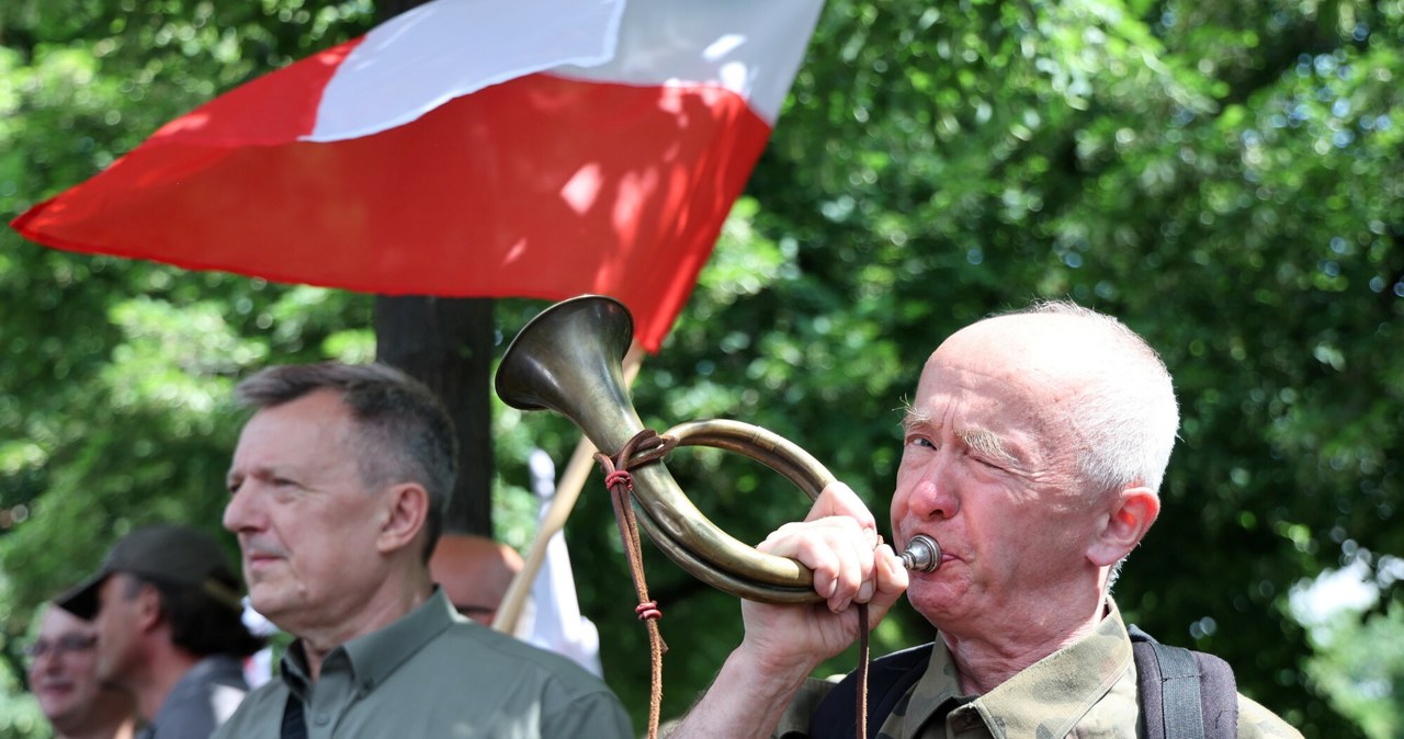 Najwięcej, nieprzetworzonego, drewna, Polski, sprzedano, ostatnich, latach, Niemiec, wynika, informacji, Lasów, Państwowych, dru Dokąd trafia drewno z Polski? Chiny na drugim miejscu