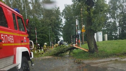 Zerwane dachy, powalone drzewa. Burze i nawałnice nad Polską