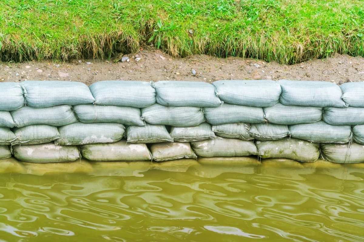 Ponad 200 razy interweniowali ostatniej doby strażacy na Dolnym Śląsku. Po ulewnych deszczach wezbrały wody w rzekach w regionie - na rzece Ślęza przekroczony jest stan alarmowy, a na Czarnej Wodzie ostrzegawczy. Z powodu złych warunków atmosferycznych w piątek wieczorem odwołano wydarzenia festiwalu Góry Literatury. Trzeba było m.in. przerwać spotkanie z Aleksandrem Kwaśniewskim.