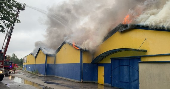 15 zastępów straży walczyło z pożarem sklepu z materiałami budowlanymi w Żaganiu (woj. lubuskie). Sytuacja została opanowana. Pożar nie rozprzestrzenia się. Jeszcze przez kilka godzin może potrwać jego dogaszanie. 