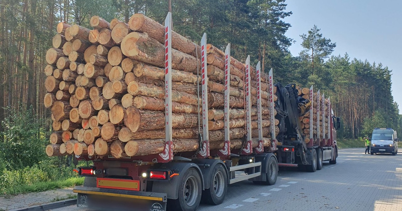 Przeciążone, transporty, drogowe, jeden, powszechnych, problemów, polskich, dróg, Niektórzy, przewoźnicy, potrafią, nawet, dwukr Ciężarówka od początku była podejrzana. Najgorsze wyszło na jaw po rozładowaniu