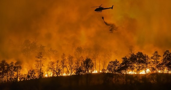 W 21 z 28 regionach Bułgarii ogłoszono czerwony, najwyższy alert przeciwpożarowy. W środkowej i południowo-wschodniej części kraju płoną lasy i suche trawy. Do walki z żywiołem włączyło się wojsko, ale to wciąż nie wystarcza - straż pożarna apeluje, by do pomocy zgłaszali się ochotnicy.