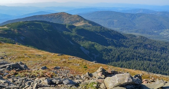 Szlak czerwony w rejonie Babiej Góry, od polany Krowiarki do Sokolicy, zostanie zamknięty - poinformował Babiogórski Park Narodowy. Prace remontowe potrwają do 15 września. 
