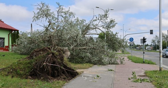 Zalane piwnice i domy, podtopione posesje, nieprzejezdne drogi, zerwane dachy – świętokrzyscy strażacy walczą ze skutkami burz, które przeszły nad regionem w nocy z soboty na niedzielę. Do godziny 12 odnotowano łącznie około 600 zgłoszeń. Szczególnie dotknięte zostały Kielce, gdzie silny wiatr powalił drzewa i słupy energetyczne. Pod wodą znalazło się również wiele dróg.