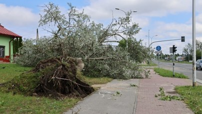 Pogodowy armagedon w Kielcach. Połamane drzewa i zalane ulice