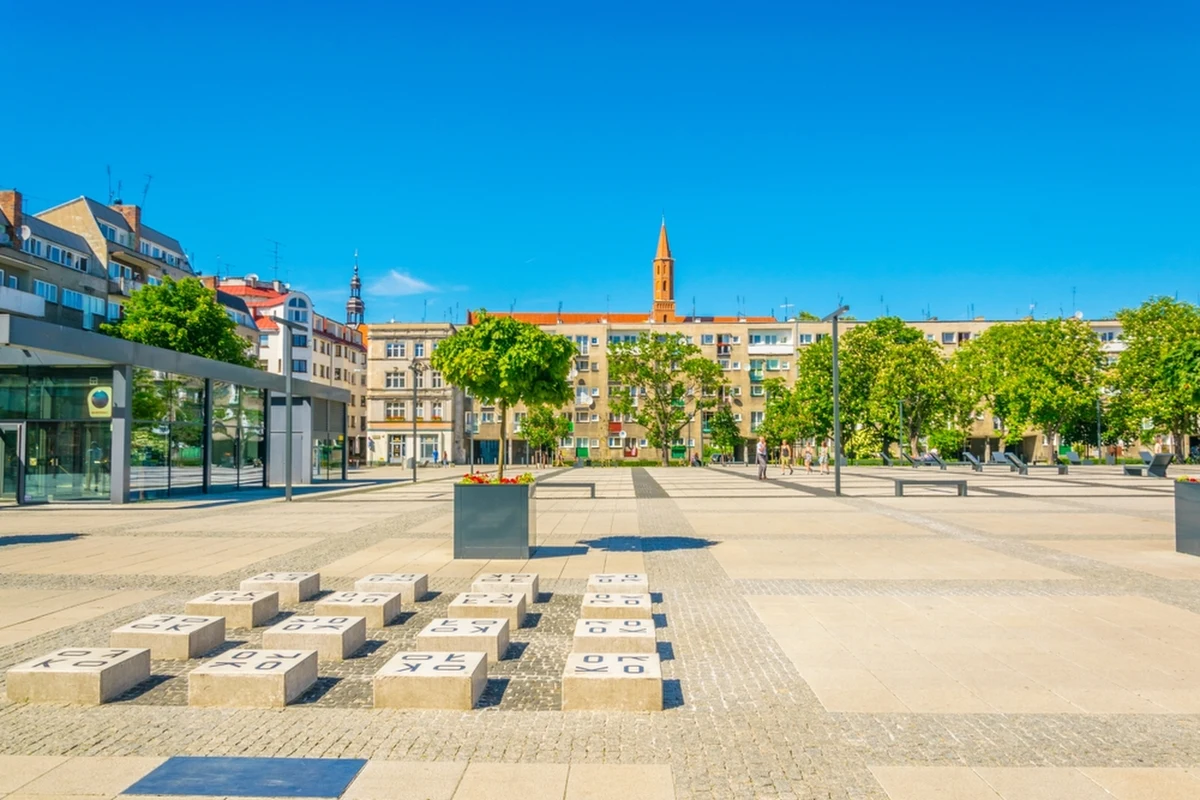 Ponad 60 tys. roślin - drzew, bylin, paproci, traw i pnączy - posadzono na placu Nowy Targ w ścisłym centrum Wrocławia. Po rocznym remoncie plac znów jest otwarty dla mieszkańców. 