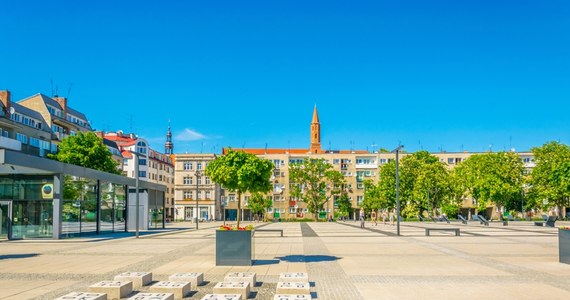 Ponad 60 tys. roślin - drzew, bylin, paproci, traw i pnączy - posadzono na placu Nowy Targ w ścisłym centrum Wrocławia. Po rocznym remoncie plac znów jest otwarty dla mieszkańców. 