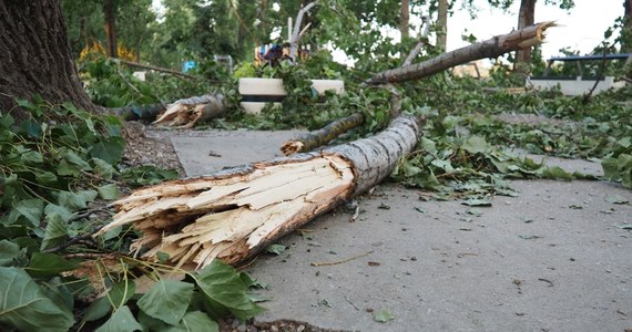 W Kielcach poszukiwani są lekarze weterynarii, studenci oraz społecznicy, którzy mogą pomóc ptakom z parku miejskiego poszkodowanym w nawałnicy. Gwałtowne burze przeszły nad regionem w nocy z soboty na niedzielę. Strażacy interweniowali kilkaset razy. 