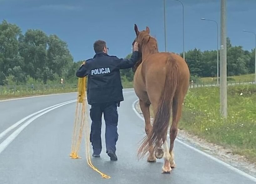 /Świętokrzyska policja /Policja