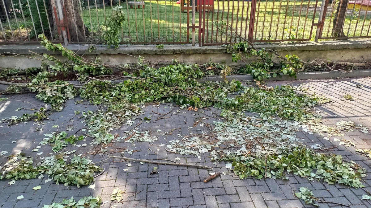 Połamane drzewa, zniszczenia w parkach - to skutki nawałnic, które przeszły nad Mazowszem. IMGW ostrzega przed kolejnymi burzami. 