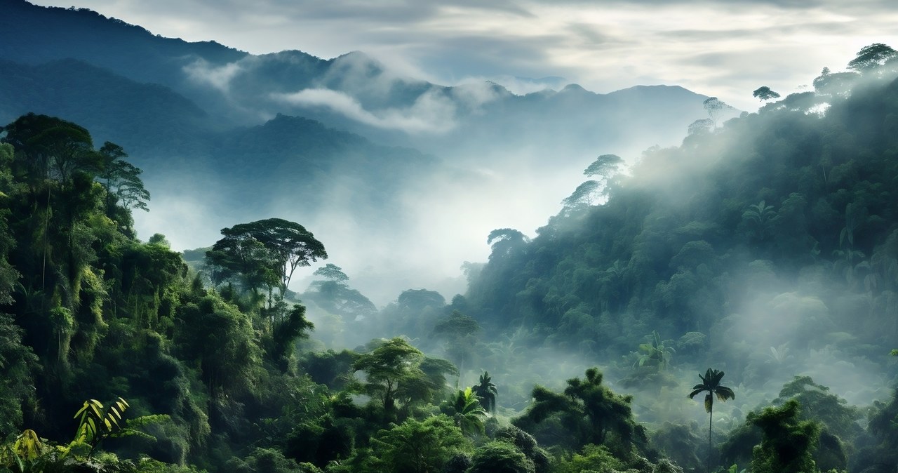 ¿Qué pasó con el Amazonas durante la última edad de hielo?