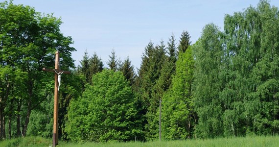 Szczątki mężczyzny, trzech kobiet oraz nienarodzonego dziecka odnalazł Instytut Pamięci Narodowej podczas prac badawczych we wsi Kolczyn w Lubelskiem. To prawdopodobnie rodzina Pochwatków zamordowana przez Niemców w 1943 roku w odwecie za ukrywanie Żydów. Kości i drobne przedmioty odnaleziono w pozostałościach ziemianki na głębokości około 1,5 metra.