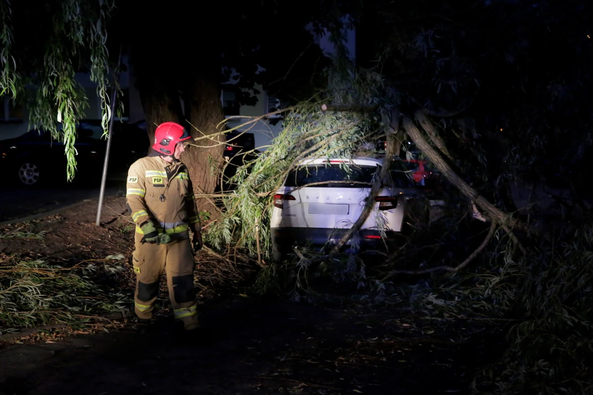 Połamane drzewa, zalane i zablokowane drogi, brak prądu - to skutki burz i nawałnic, które przeszły nad województwem warmińsko-mazurskim. Strażacy interweniowali ponad 560 razy. 