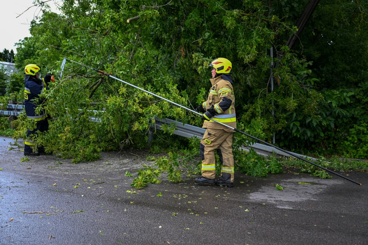 Środa jest pracowitym dniem dla strażaków z Podkarpacia. Od rana interweniowali już ponad 200 razy w związku z burzami, jakie przeszły nad regionem. Około dwóch tysięcy odbiorców nie ma tam prądu. W środę rano ta liczba była prawie pięciokrotnie wyższa.