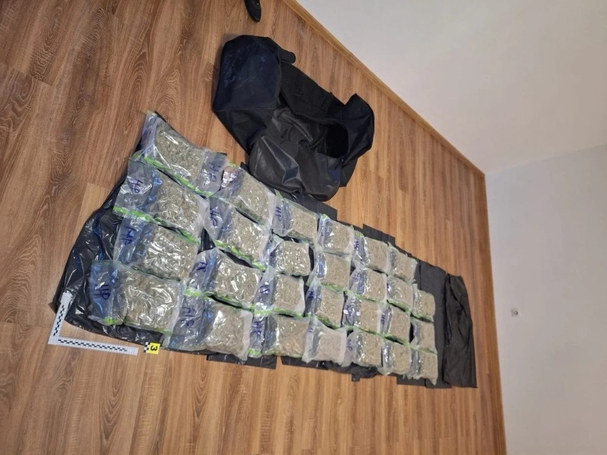 67 kg marihuany i mefedronu przejęli policjanci z Poznania. Do aresztu trafił 27-letni raper Roger M. powiązany ze środowiskiem pseudokibiców, grozi mu do 12 lat więzienia.