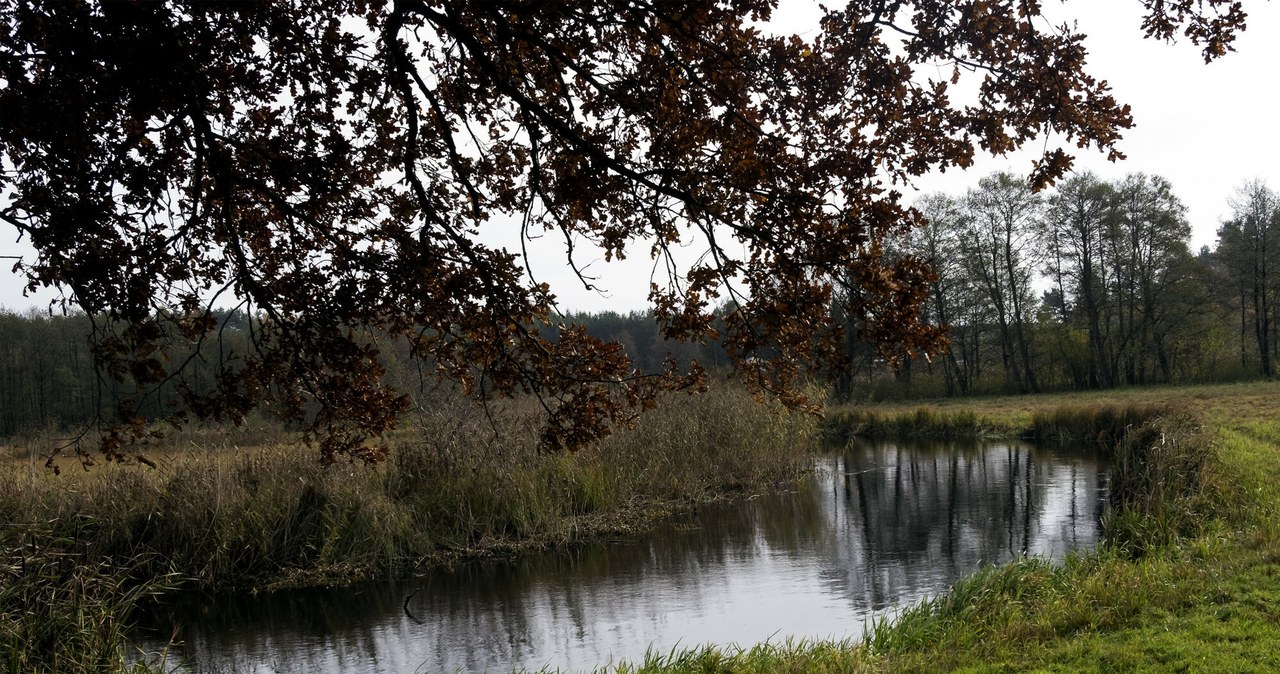  Zresetowali rzekę i zmienili jej nurt. Efekt zaskoczył nawet niedowiarków