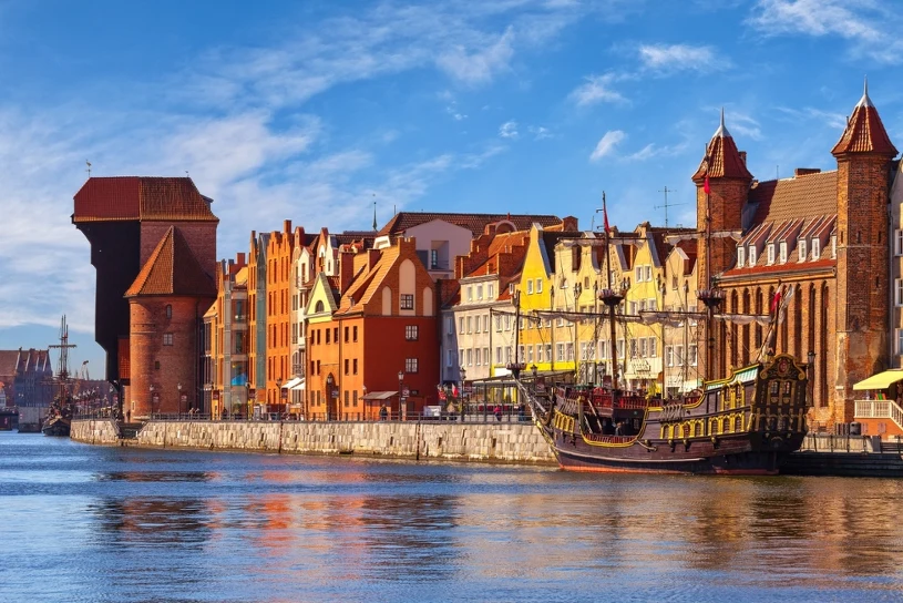 Gdańsk: 500 zł kary dla zarządców nieruchomości bez dokumentów deratyzacji