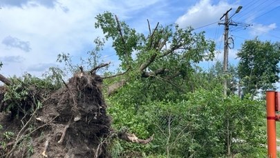 Krajobraz po nawałnicy w gminie Trawniki. Strażacy jeżdżą z miejsca na miejsce