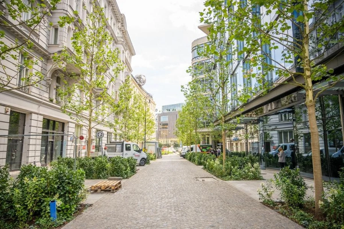 Kiedyś była zastawiona zaparkowanymi samochodami. Dziś ulica Bracka wygląda zupełnie inaczej. W ścisłym centrum Warszawy jest pełen zieleni deptak. 