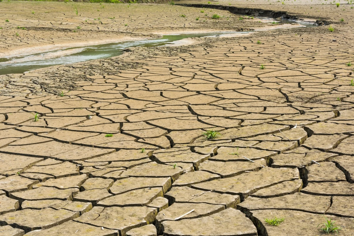 W związku z ponadprzeciętnie wysoką temperaturą wyschło największe w Serbii słone jezioro, którego woda i błoto od wieków wykorzystywane były do celów leczniczych - pisze agencja Reutera, zaznaczając, że do takiej sytuacji dochodzi po raz pierwszy w zarejestrowanej historii akwenu.