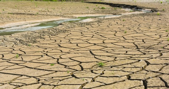 W związku z ponadprzeciętnie wysoką temperaturą wyschło największe w Serbii słone jezioro, którego woda i błoto od wieków wykorzystywane były do celów leczniczych - pisze agencja Reutera, zaznaczając, że do takiej sytuacji dochodzi po raz pierwszy w zarejestrowanej historii akwenu.