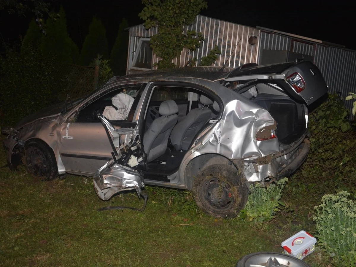 18-letni kierowca próbował uniknąć zderzenia z dzikim zwierzęciem, które wybiegło na jezdnię. W wyniku wypadku zginął jego 20-letni kolega, a pozostali podróżujący trafili do szpitala. 