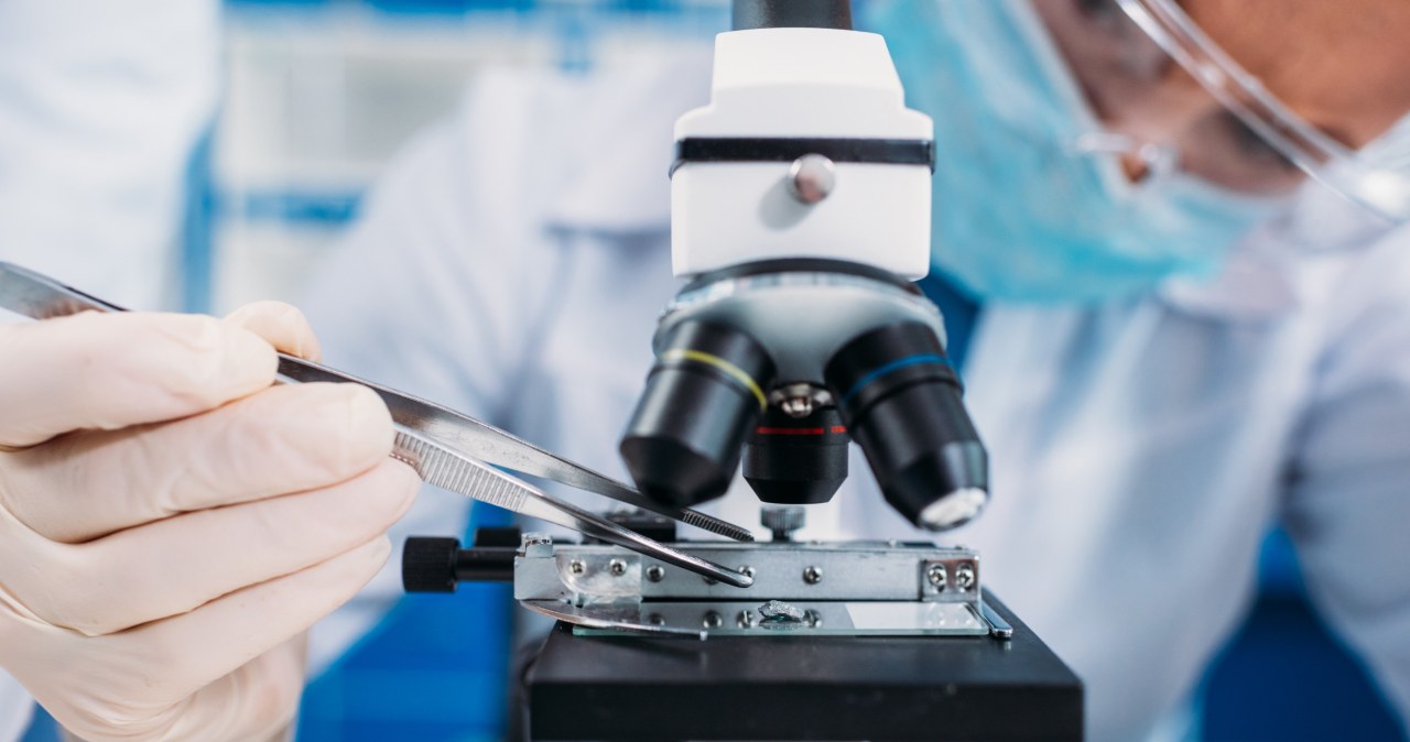 Odkryto bakterię odporną na podróż kosmiczną. Przełom dla misji międzyplanetarnych