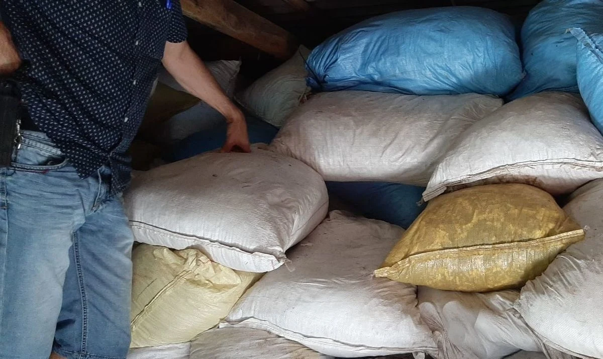 282 kilogramy tytoniu i ponad 3 tony odpadów po nielegalnej produkcji papierosów ukryła na poddaszu mieszkanka wsi w powiecie łęczyckim (Łódzkie). Według szacunku służb Skarb Państw z powodu uszczuplenie podatku akcyzowego mógł stracić ponad 3,5 mln złotych.