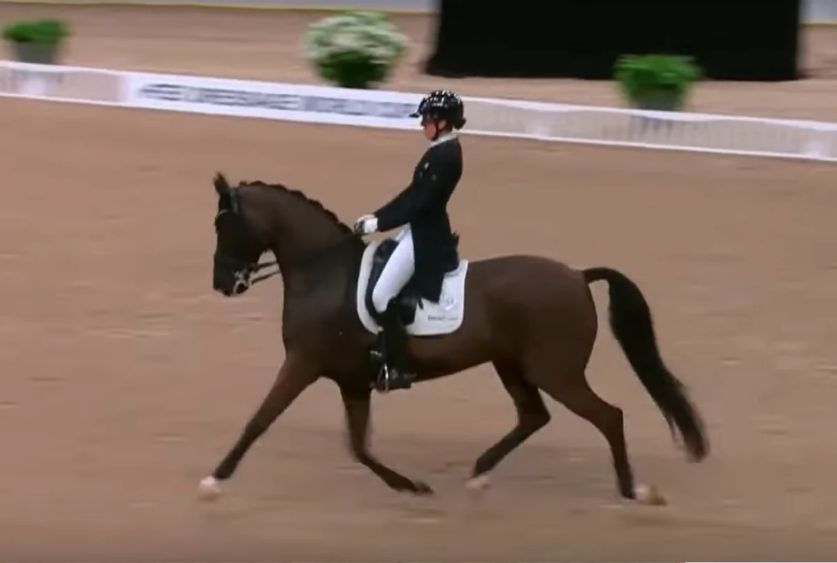 Carina Cassoee Kruth - Dunka, która miała reprezentować swój kraj na igrzyskach w Paryżu, została wycofana z reprezentacji. Powód? Znęcanie się nad koniem. Anomimowe wideo z aktem przemocy obiegło sieć. 