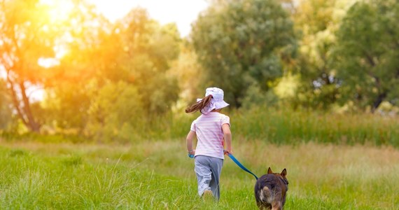 Chwile grozy przeżyła mama 4-latki z Kielc, która najprawdopodobniej wykorzystując jej nieuwagę oddaliła się z placu zabaw z psem na smyczy. Dziewczynkę znaleźli policjanci z drogówki 800 metrów dalej.  

