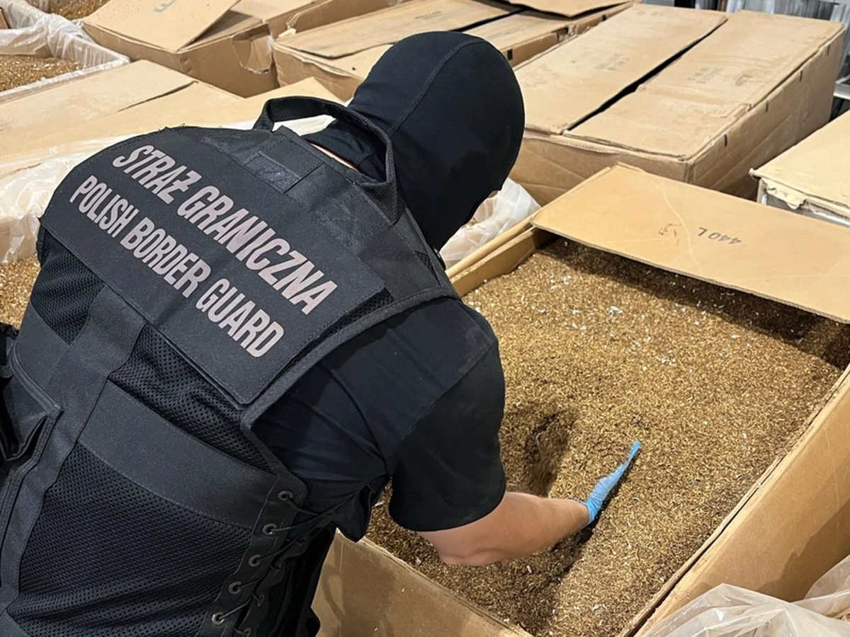 Ponad 2,5 tony krajanki tytoniowej, 6 mln sztuk papierosów i linie technologiczne do ich produkcji ujawniono w nielegalnej fabryce papierosów w powiecie oleckim. Zatrzymano 13 osób, wszystkie zostały aresztowane.