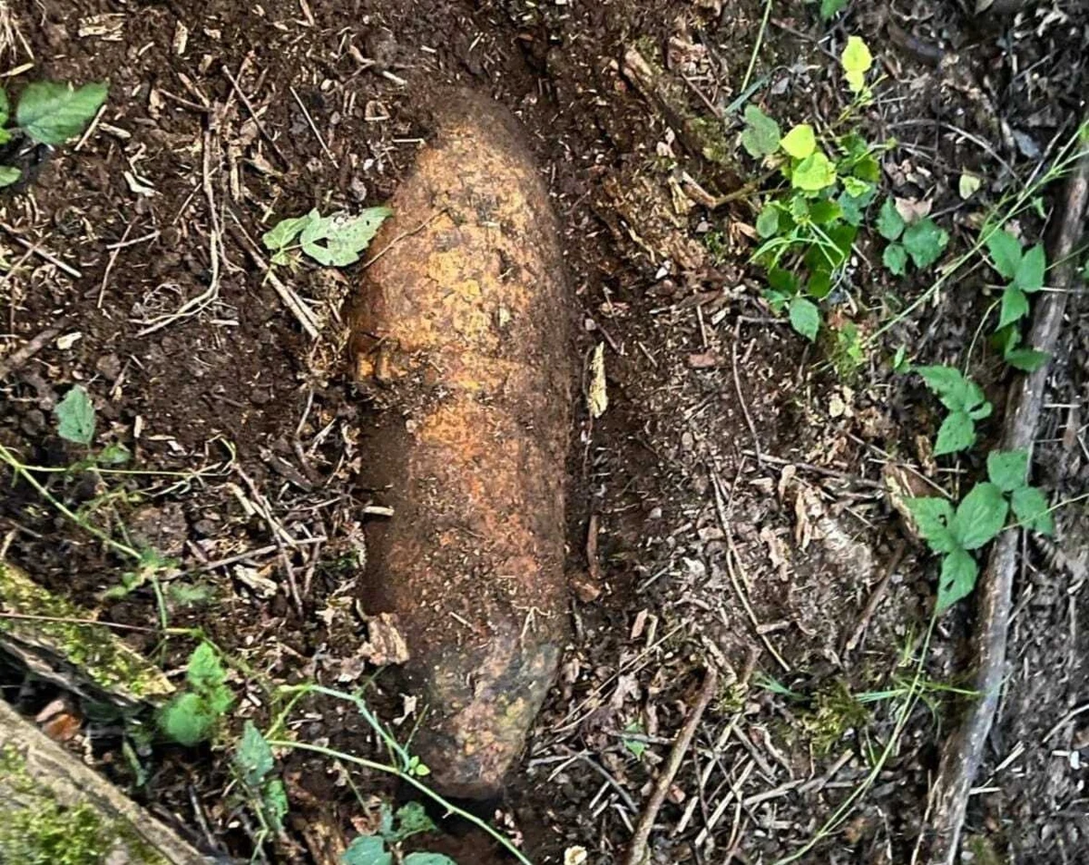 Bombę P-50 ważącą około 50 kg odnaleziono w Oławie, tuż obok miejscowości Siedlce, w woj. dolnośląskim. "Niebezpieczne znalezisko z czasów II wojny światowej prawdopodobnie wykopała zwierzyna leśna" - poinformowała w sobotę oławska policja.

