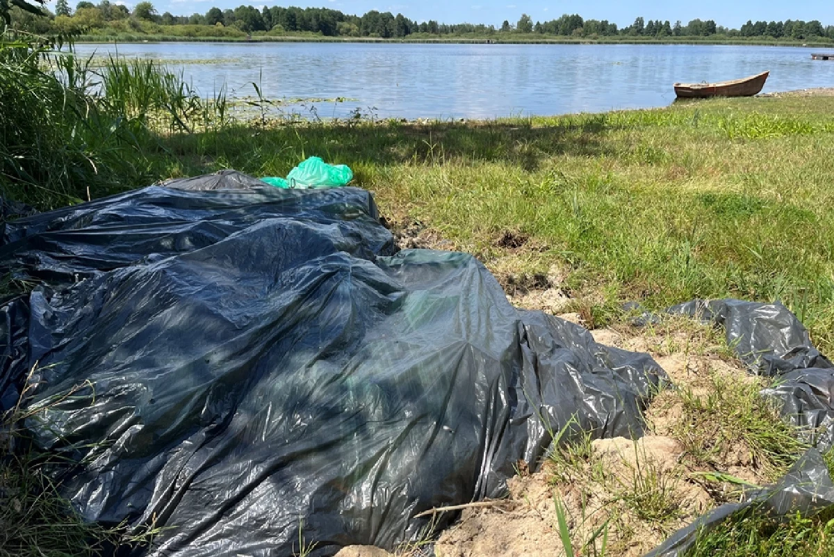 Tysiące martwych ryb wyłowiono z jeziora Ściegiennego w Lubelskiem. Zapakowane w worki i przykryte folią leżą na niewielkiej, całkiem pustej plaży. Sprawą zajęły się już Wody Polskie.