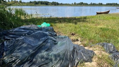 Tysiące martwych ryb w foliowych workach na plaży w Lubelskiem