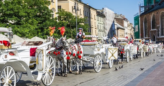 W związku z prognozowanymi upałami w niedzielę i w poniedziałek zamknięty będzie postój dorożek na Rynku Głównym i ich postój zastępczy przy ul. Mikołajskiej przed bazyliką Mariacką - poinformował krakowski urząd miasta. Dorożki nie mogą też przejeżdżać przez Rynek.