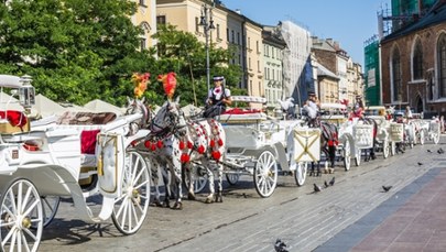 Dorożki nie wyjadą na Rynek Główny w Krakowie