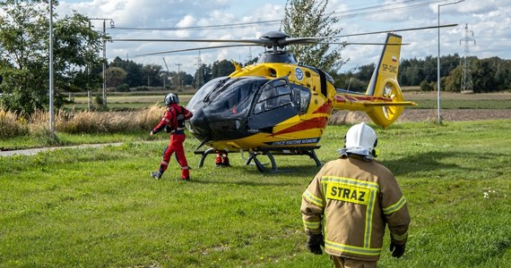 Ciężarówka potrąciła mężczyznę na autostradzie A2 w okolicach Poznania. 37-latek wybiegł z samochodu, bo wcześniej pokłócił się ze współpasażerami.