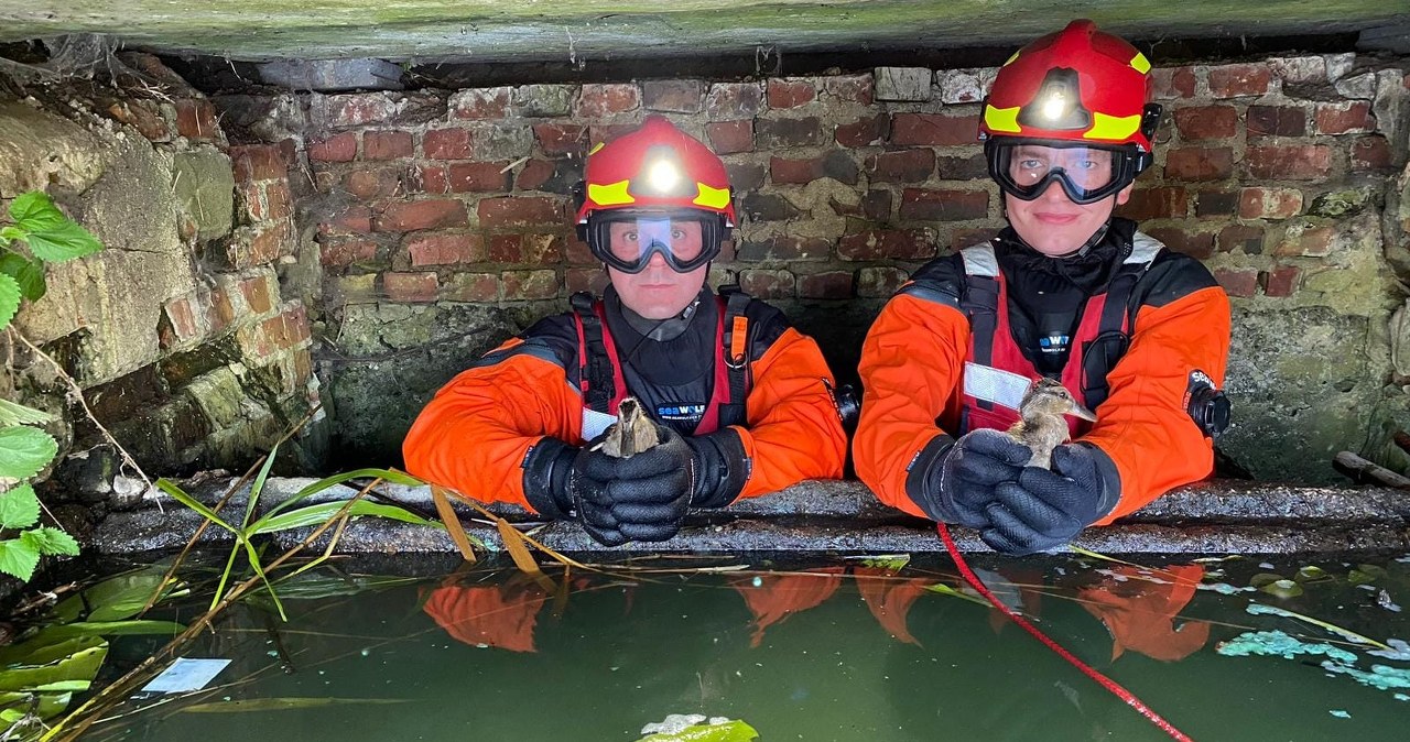 Nietypowa akcja strażaków. W ruch poszedł specjalistyczny sprzęt