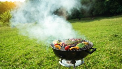 Zakaz grillowania w Wiedniu. Miasto walczy z ryzykiem pożarów