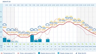 Pogoda dla Zielonej Góry na 24 lipca 2024