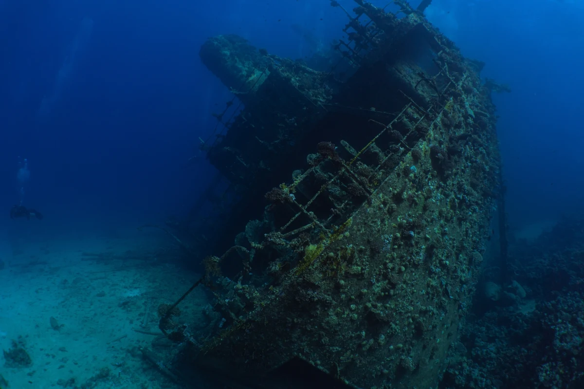 Nurkowie z Trójmiasta odkryli na dnie Bałtyku wrak XIX-wiecznego żaglowca wypełniony około setką butelek szampana, wina i wody mineralnej. Szef ekspedycji Tomasz Stachura twierdzi, że jednostka mogła zatonąć w okolicy Szwecji między 1850 a 1876 rokiem.