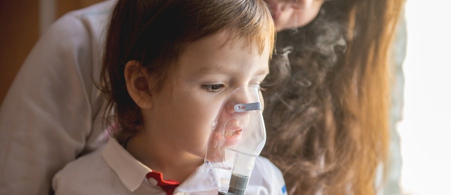 Jest szczególnie niebezpieczny dla małych dzieci. Krztusiec to groźna choroba zakaźna, bo prowadzi do wielu powikłań, takich jak zapalenie płuc, a nawet uszkodzenie mózgu. Główny Inspektor Sanitarny Paweł Grzesiowski zachęca kobiety w ciąży do szczepień przeciwko krztuścowi.