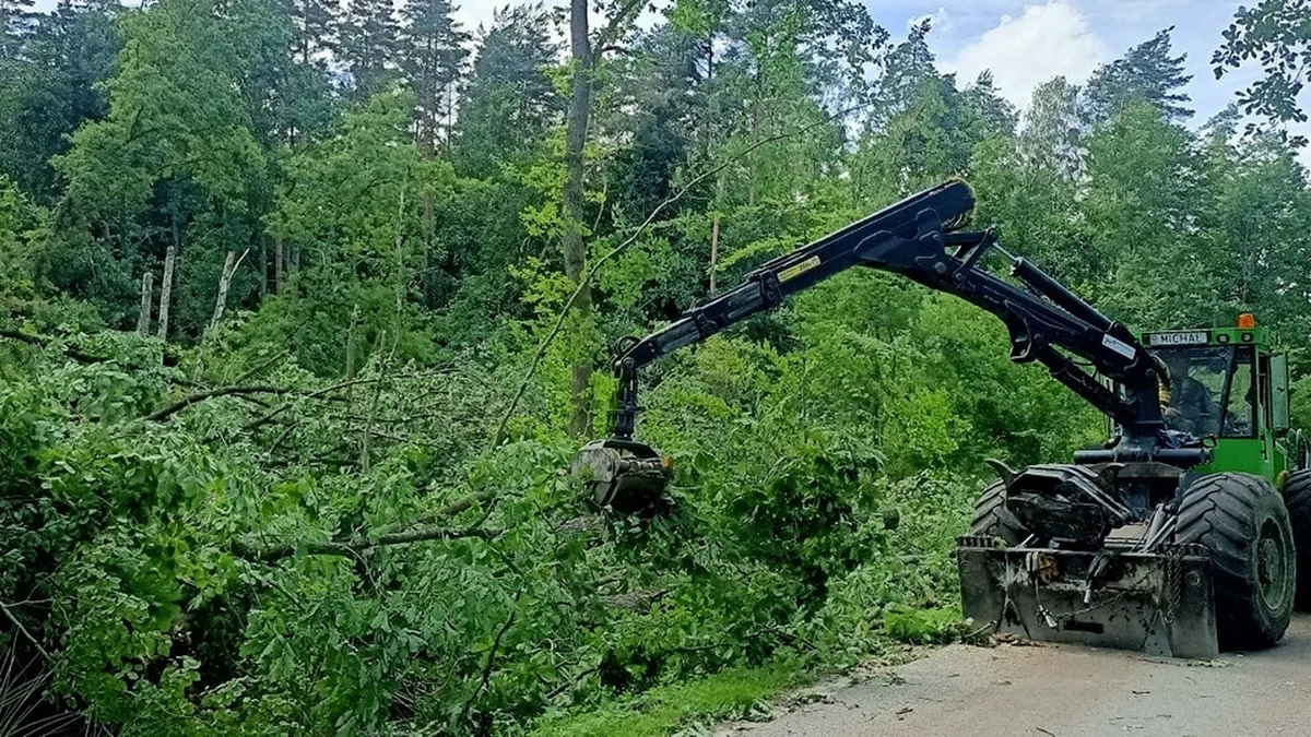 Około 40 tysięcy metrów sześciennych drzew zostało zniszczonych przez zeszłotygodniową nawałnicę na Pomorzu. Leśnicy wciąż szacują starty. Najbardziej dotknięte zostało Leśnictwo Sopot i Nadleśnictwo Kwidzyn.