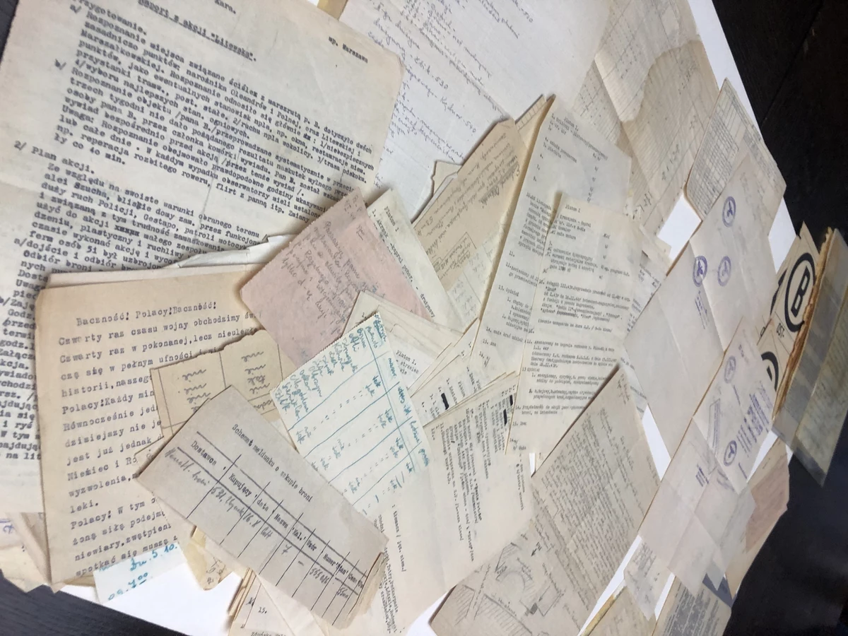 52 znalezione przypadkowo dokumenty sprzed osiemdziesięciu lat trafiły dzisiaj do Muzeum Powstania Warszawskiego. To ponad sto stron dotyczących Batalionu "Parasol", jednego z oddziałów biorących udział w powstaniu. Reporter RMF FM Michał Dobrołowicz rozmawiał z Ewą i Zdzisławem Rybackimi, którzy na dokumenty trafili w mieszkaniu zmarłego krewnego, dawnego żołnierza.