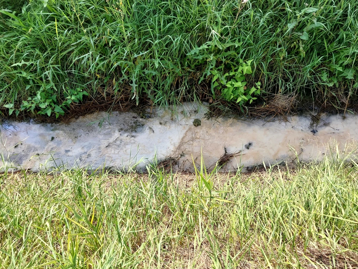 Po interwencji dziennikarza RMF MAXX postanowiono zająć się odciekami ze składowisk po dawnych zakładach sodowych Solvay w Krakowie. Trwa - jak twierdzą urzędnicy - instalacja studni pomiarowych przy ul. Podmokłej.


